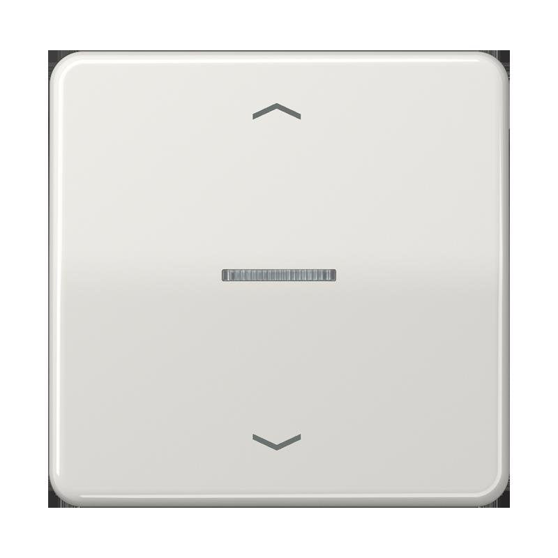 Jung - Bedienelement intelligent Taster 1fach BT CD 17101 P LG JUNG HOME