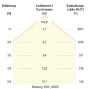 EVN Lichttechnik - Hallen-Reflektorleuchte LED-Hallenleuchte HBM6520025