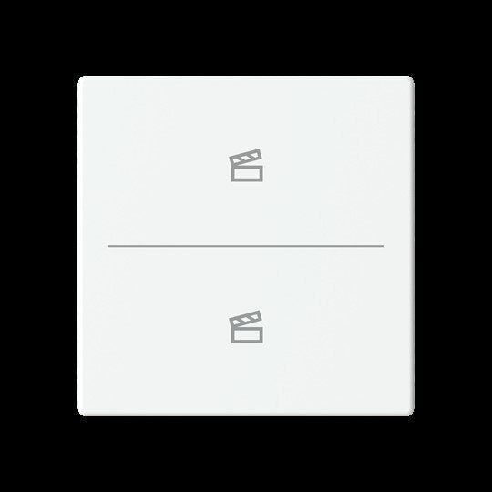 Busch-Jaeger - Bussystem-Tastwippe Abdeckung als Taster LFST/A.2.63.11-884 2f. Symbol Szene