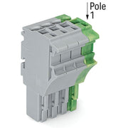 WAGO - Ein- und mehrpolige Klemmenleiste 1-Leiter-Federleiste 2022-104/000-036 4 mm²,gr/gn-ge − 100 Stück