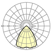 Regiolux - Geräteträger für Lichtbandsystem LED-Geräteträger IP64 SDGSCTB #18738474100 840, ML, EB 3h