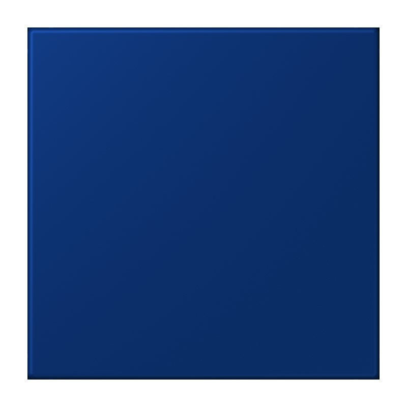 Jung - Behindertenelement für Installationsschalterprogramme Notrufsystem Netzteil NRS LC 0834 NT 261