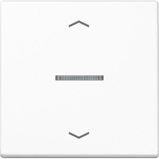 Jung - Bedienelement intelligent eNet Funk-Steuertaste FM AS 1700 P WW Standard 2fach