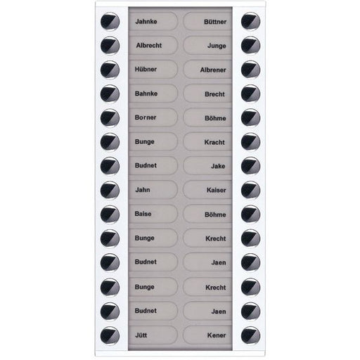 TCS Tür Control - Montageelement für Türstation Audioaußenstation 2-reihig PET28-WS/04 Erw.28 Tasten AP ws