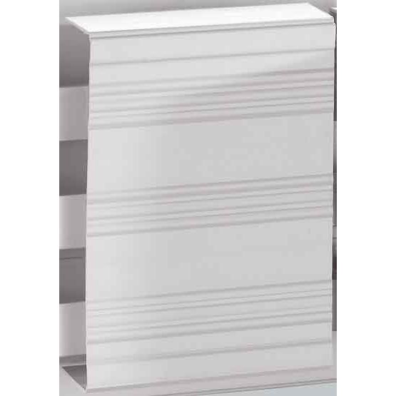 Wöhner - Zubehör/Ersatzteile für Sammelschienen Leerfeldabdeckung 01025 gr. 700x195 Sys.60 − 2 Stück