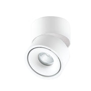 EVN Lichttechnik - Downlight/Strahler/Flutlicht Wand-u.Deckenleuchte AS20130125