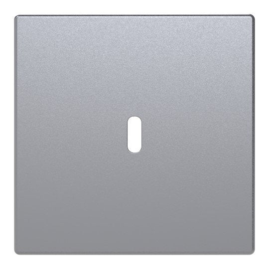 Busch-Jaeger - Einsatz/Abdeckung für Kommunikationstechnik Zentralscheibe 6479-83 USB-C-Power