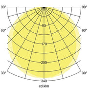Brumberg Leuchten - Decken-/Wandleuchte LED-Wandanbauleuchte 230V 10137183 3000/4000/5700K