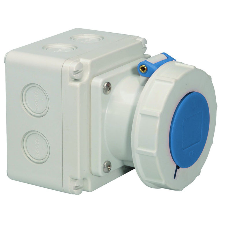 Bals Elektrotech - CEE-Steckdose (IEC 60309) CEE-Steckdose 110568