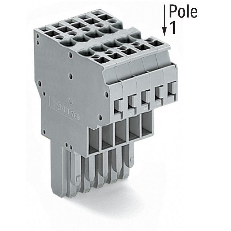 WAGO - Ein- und mehrpolige Klemmenleiste 2-Leiter-Federleiste 769-125 CAGECLAMP,4mm²,gr − 20 Stück