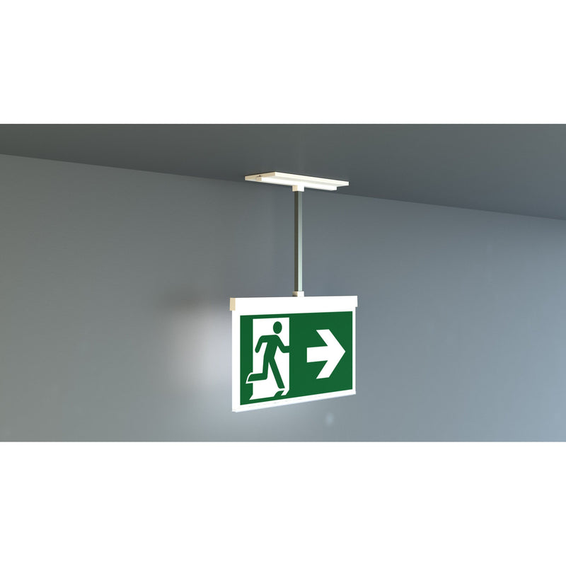 RP-Technik - Sicherheitsleuchte AMCP509CC