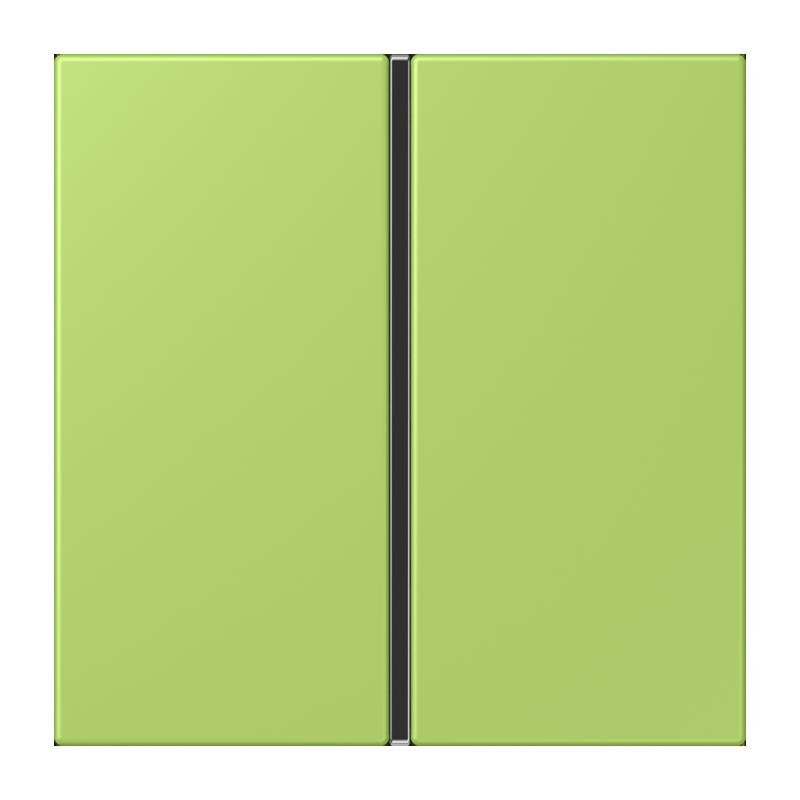 Jung - Abdeckung/Bedienelement für Installationsschalterprogramme Tastensatz 1fach LC 401 TSA 221 vert clair
