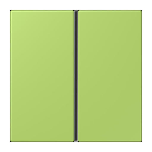 Jung - Abdeckung/Bedienelement für Installationsschalterprogramme Tastensatz 1fach LC 401 TSA 221 vert clair