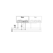 ESYLUX - Bewegungsmelder/Präsenzmelder komplett Wandbewegungsmelder MD 180i/R 180 Grad