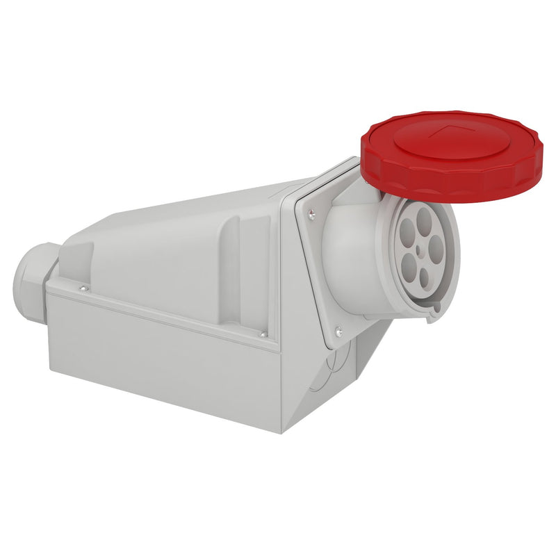 Schneider Electric - CEE-Steckdose (IEC 60309) Industriesteckdose 81195 125A, 3p+N+E