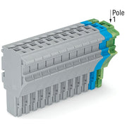 WAGO - Ein- und mehrpolige Klemmenleiste 1-Leiter-Federleiste 2022-113/000-038 4 mm²,gr/bl/gn-ge − 25 Stück