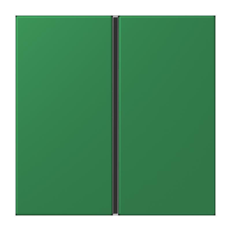 Jung - Abdeckung/Bedienelement für Installationsschalterprogramme Tastensatz 1fach LC 401 TSA 219 vert fonce
