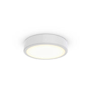 Philips Lighting - Decken-/Wandleuchte 3D-LED-Leuchte TCBRMS 19S #86389700 940