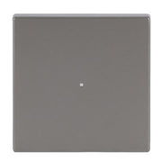 Busch-Jaeger - Bussystem-Tastwippe Wippe eds 6230-10-866 pur Edelstahl