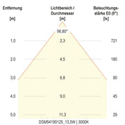 EVN Lichttechnik - Decken-/Wandleuchte LED-Deckenleuchte DSM54190125 ML, MC