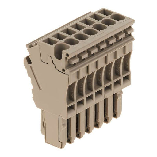Weidmüller - Zubehör/Ersatzteile für Klemmen Stecker ZP 2.5/1AN/QV/7 Steckanschl.,2.5mm² − 25 Stück