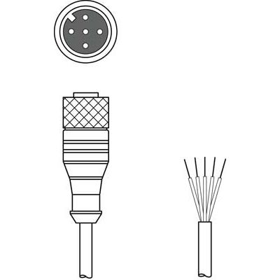 Leuze - Konfektioniertes Sensor-Aktor-Kabel Anschlussleitung KD SC-M12-5A-P1-100