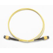 Fluke Networks - System-Patchkabel LWL TRC-MPO SM Testkabel TRC-SM-MPOAPC-PP-A 1m,Stift/Stift Typ A