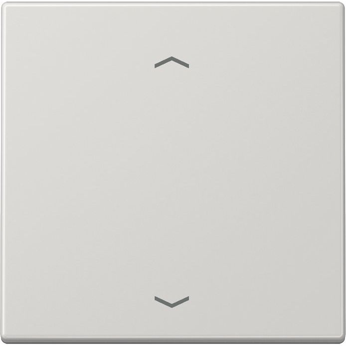 Jung - Sender/Fernbedienung für Installationsschalterprogramme Funk-Wandsender lgr ENO LS 990 P LG 2-kanalig Symbole