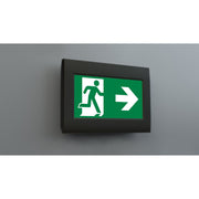 RP-Technik - Sicherheitsleuchte LED-Rettungszeichenleuchte FMW401SC-AZ EB 1h, SC, anthr