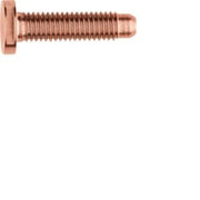 Elcom - Maschinenschraube/Bolzen Schraube Spezial ZY M5x25 PVD vari M5x25 PVD vari