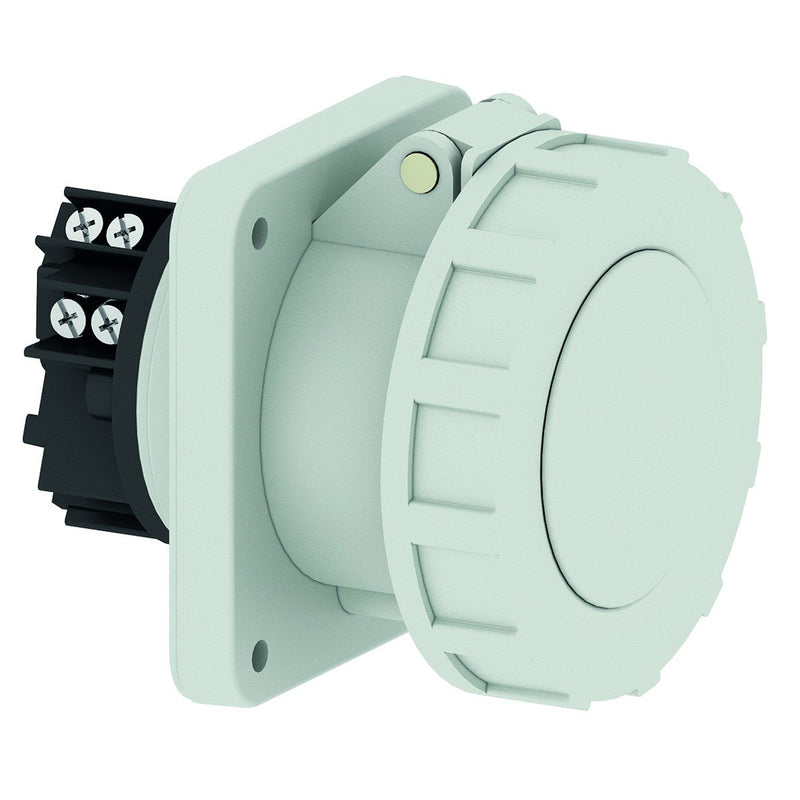 Bals Elektrotech - CEE-Anbausteckdose (IEC 60309) Anbausteckdose 13854 gerade − 5 Stück