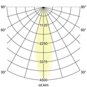 Brumberg Leuchten - Downlight/Strahler/Flutlicht LED 48V Schienenstrahler 43131083 dimmbar