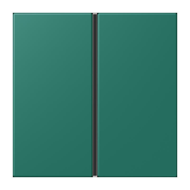 Jung - Abdeckung/Bedienelement für Installationsschalterprogramme Tastensatz 1fach LC 401 TSA 216 vert anglais