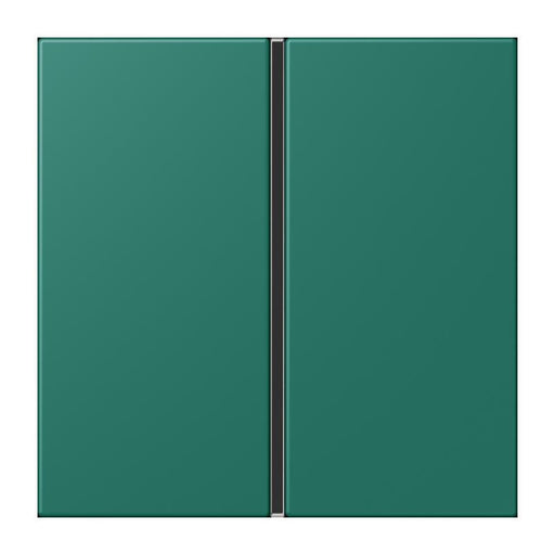 Jung - Abdeckung/Bedienelement für Installationsschalterprogramme Tastensatz 1fach LC 401 TSA 216 vert anglais