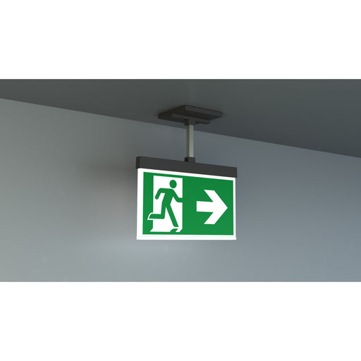 RP-Technik - Sicherheitsleuchte LED-Rettungszeichenleuchte AMEP401SC-AZ EB 1h, SC, anthr
