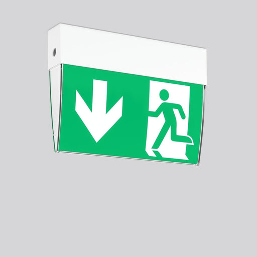 RZB - Sicherheitsleuchte LED-Rettungszeichenleuchte 672604.002.07 EB 8h, DALI, weiß