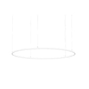 Brumberg Leuchten - Pendelleuchte LED-Pendel-Ringleuchte 84114174CA 4000K, Casambi