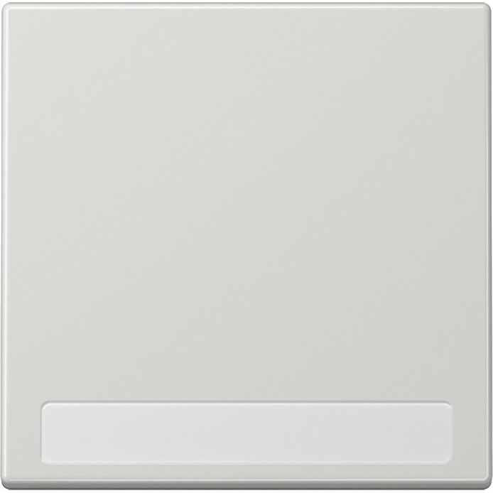 Jung - Abdeckung/Bedienelement für Installationsschalterprogramme Wippe Schriftfeld lgr LS 990 NA LG für Taster