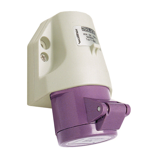 Walther Werke - CEE-Steckdose (IEC 60309) NORVO Wandsteckdose 32A 11116 2P 42V 10h IP44