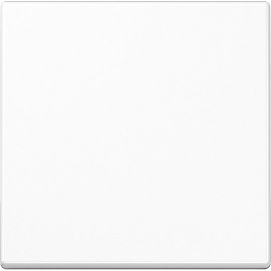 Jung - Bedienelement intelligent Steuertaste Standard A 1700 BF WW