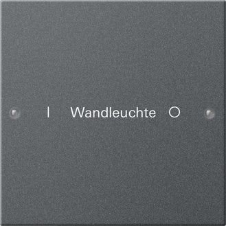 Gira - Bussystem-Tastwippe Wippenset 1-fach 220128 beschr.Sys. 55 anthr