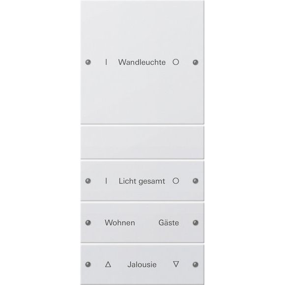 Gira - Bussystem-Tastwippe Wippenset 4-fach 220427 beschr. Sys 55 rws