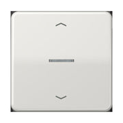 Jung - Bedienelement intelligent Taster 1fach BT CD 17101 P LG JUNG HOME