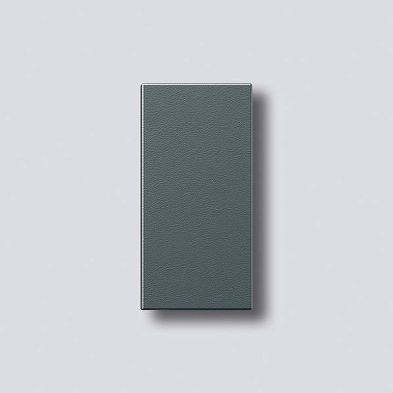 Siedle&Söhne - Zubehör/Ersatzteile für Türkommunikation Klingeltaste dgr-Glim 200029938-00 ohne Glockensymbol