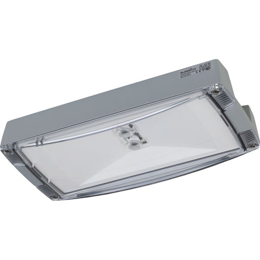 Ceag Notlichtsysteme - Sicherheitsleuchte AtlanticLEDLTRHBCG-S