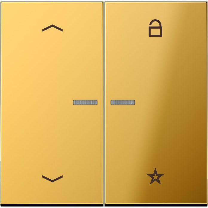 Jung - Bedienelement intelligent eNet Funk-Steuertaste FM GO 1701 P Symbol Pfeil, gold