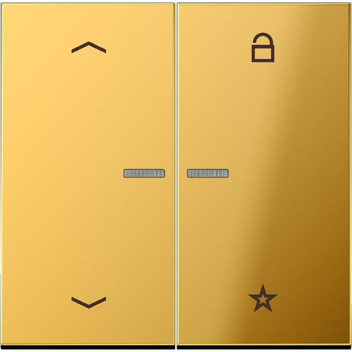 Jung - Bedienelement intelligent eNet Funk-Steuertaste FM GO 1701 P Symbol Pfeil, gold
