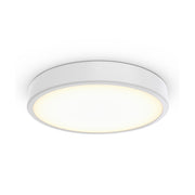 Philips Lighting - Decken-/Wandleuchte 3D-LED-Leuchte TCBRLS 46S #86385900 940