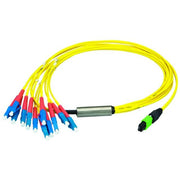 Telegärtner - Patchkabel LWL MPO/MTP Aufteilkabel gb 1m 100010927 MPO OS2 12SC SM