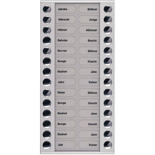 TCS Tür Control - Montageelement für Türstation Audioaußenstation 2-reihig PET28-EN/04 Erw.28 Tasten si